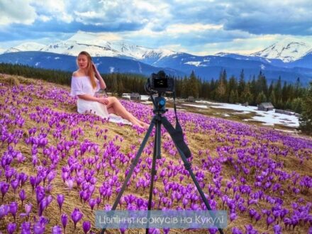 Цвітіння крокусів на Кукулі