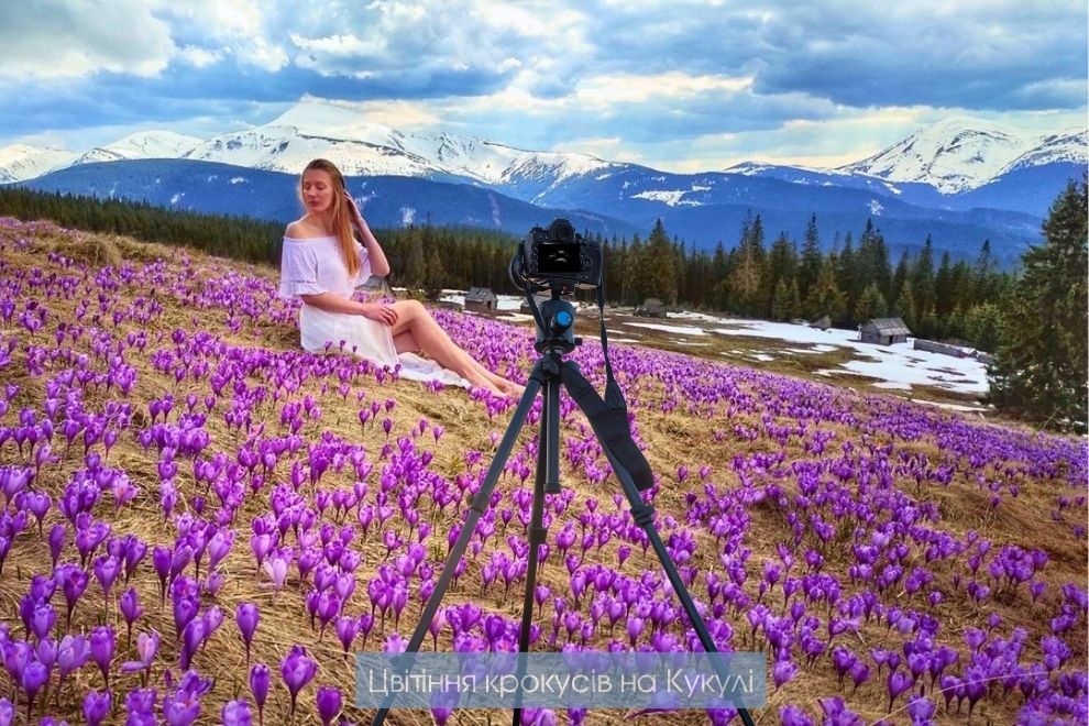 Цвітіння крокусів на Кукулі