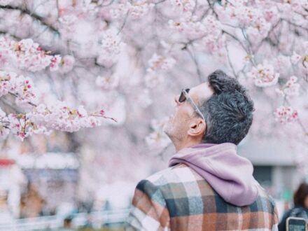 Сакура в Закарпатті