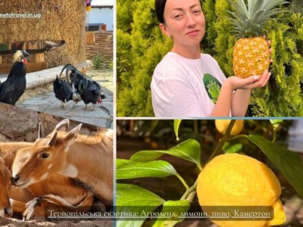Тернопільська екзотика: етнопарк Агроленд, лимони, пиво, Камертон