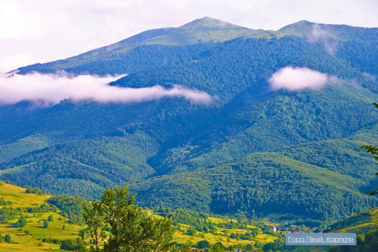 Mount Pikuy Carpathians - ТК Мандри Carpathian mountain landscape with forested slopes, green valleys, and white clouds over a ridge.